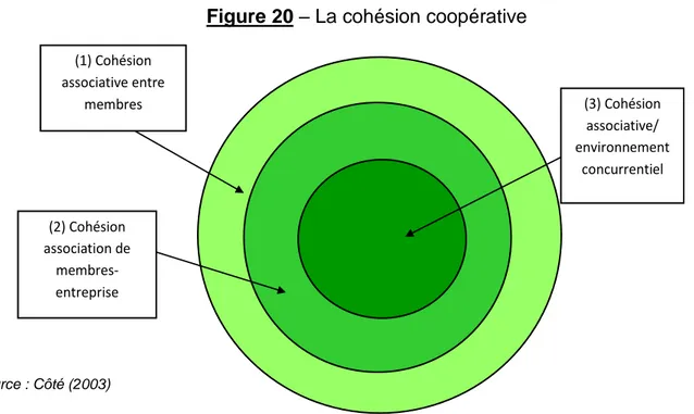 Figure 20 – La cohésion coopérative 