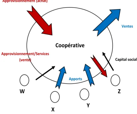Figure 8 – Le double engagement en coopérative 