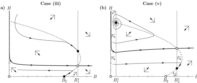 Figure 6: Typical phase plane diagrams of case (iii) (stable overcompensation and herbivore-free equilibria, panel (a)) and case (v) (stable overcompensation and undercompensation equilibria, panel (b))