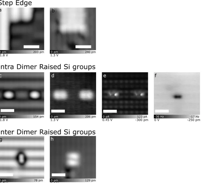 Figure S9. Common characteristics between Step Edges and Raised Si Clusters. (a) Filled  states image of a step edge