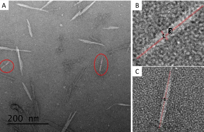 Figure S3. TEM image (A) and expanded views of  four individual CNCs that are suitable for size  analysis