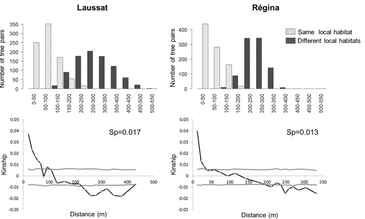 Fig 3. Top: Number of tree pairs in each distance class. Bottom: Intra-site spatial genetic structure (SGS) analysis based on all AFLP markers.
