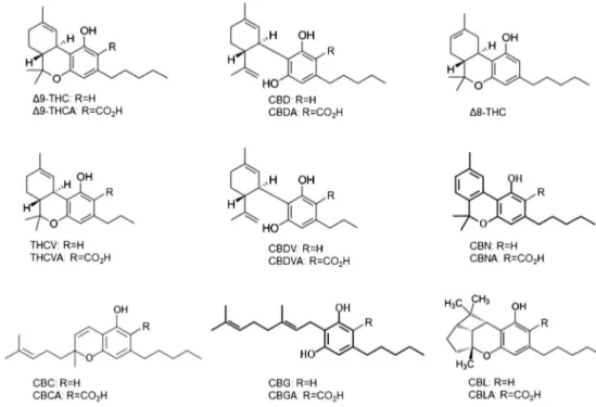 Fig. 1 Chemical structures of the 17 cannabinoids targeted in the reported method