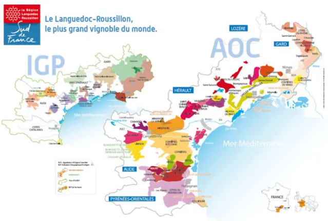 Figure 3 : Map of the Languedoc PDO and PGI vineyard 
