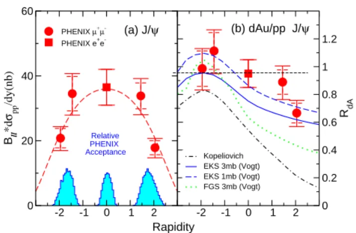 Figure 1 (a) shows the measured p+p differential cross section times branching ratio versus rapidity with a  di-electron point at mid-rapidity and two di-muon points at negative and positive rapidities