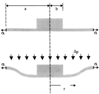 Figure 3.5  Drawing  of annular diaphragm with central boss Timoshenko  Plate Theory