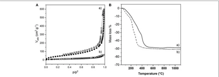 FIGURE 6 | (A) N 2 adsorption-desorption isotherms and (B) TGA curves of (a) NiAl@Alg-Ca beads and (b) NiAl@Alg beads dried upon CO 2 supercritical conditions.