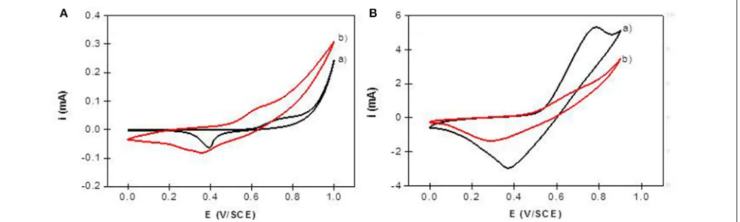 FIGURE 9 | Cyclic voltammograms recorded in 0.1 M NaOH (v = 50 mVs − 1 ) using (A) NiAl-CO 3 /ITO (curve a) and NiAl-Alg/ITO (curve b) modified electrodes prepared by solvent casting; (B) NiAl@alginate composite electrodes prepared by impregnation (a) NiAl