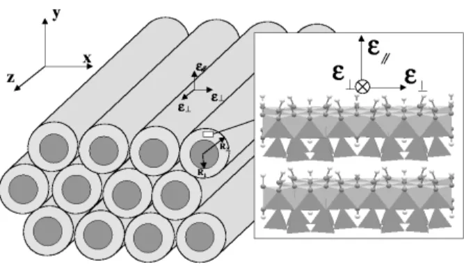 FIG. 1: Multiwall nanotubes of chrysotile, arranged as a hexagonal close packed array