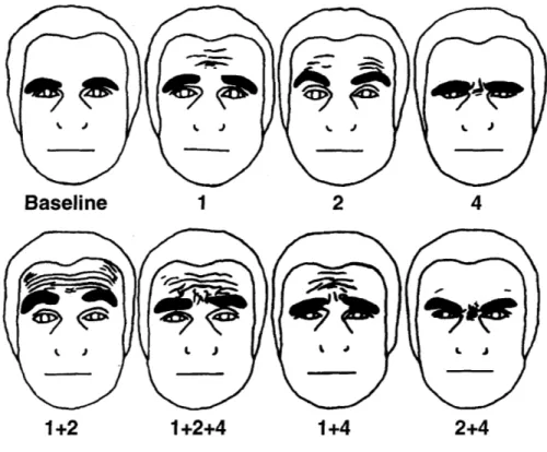 Figure 2-1:  The different action units for the brow and forehead identified by the FACS  [28]