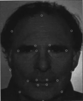 Figure 5-1:  Face showing landmarks used in initial placements and warping of facial mesh.