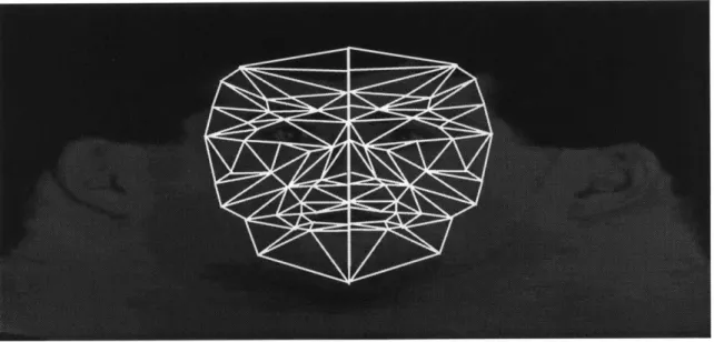 Figure  5-4:  Facial Mesh  placed on  intensity values of a face and projected on  spherical coordinates (u, v).
