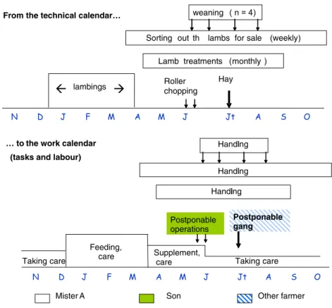 Fig. 2 From a technical calendar to work organization combining tasks and workers (Madelrieux and Dedieu 2008)