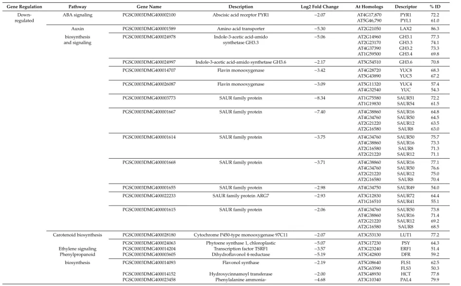 Table 2. List of di ff erentially expressed genes in drought-stressed potato tubers, the corresponding homologs in A