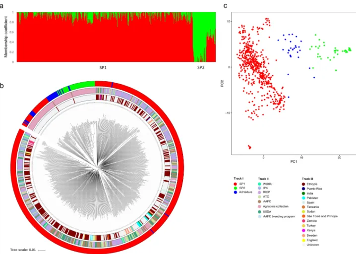 Table 1.   Diversity statistics for various genomic contexts calculated over 100 kb non-overlapping windows  across the B