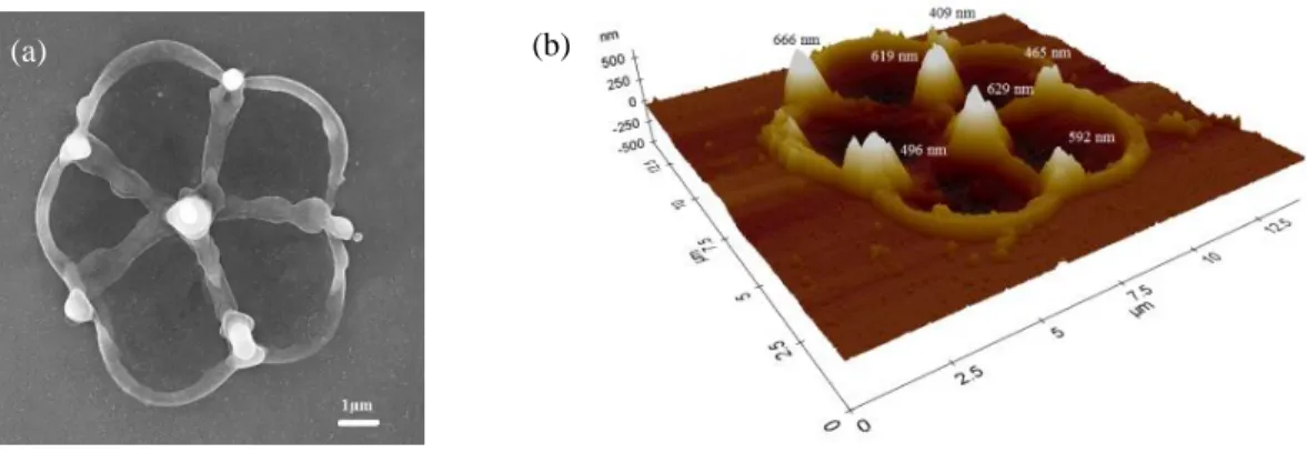 Figure S6. (a) The SEM image shows a 5-petal flower-shaped structure produced by a tuned q = -1 and detuned q = 