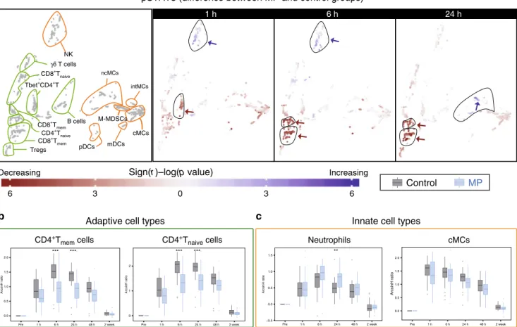 Fig. 4 Alteration of intracellular pSTAT3 responses by MP. a Immune cell atlas depicting differences of the phospho-(p)STAT3 response (arcsinh ratio) between the control ( n = 30 patients) and MP ( n = 28 patients) group at 1, 6, and 24 h after surgery rel