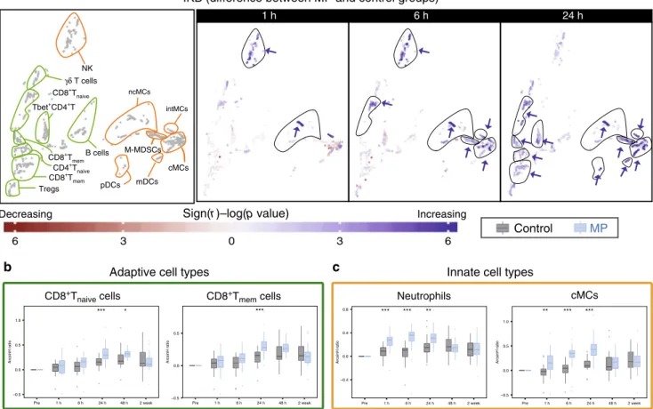 Fig. 5 Alteration of total I κ B α by MP. a Immune cell atlas depicting differences in total I κ B α (arcsinh ratio) between the control ( n = 30 patients) and MP ( n = 28 patients) group at 1, 6, and 24 h after surgery