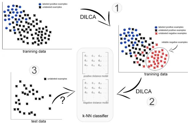 Figure 1: The overall workflow of Pulce: detection of reliable negative examples from training data (1), definition of the positive and negative distance models (2) and k-NN classification leveraging positive and negative distance models (3).