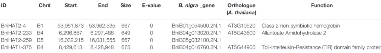 TABLE 2 | MITE Members from BniHAT-1 and BniHAT-2 inserted into exonic regions of the B