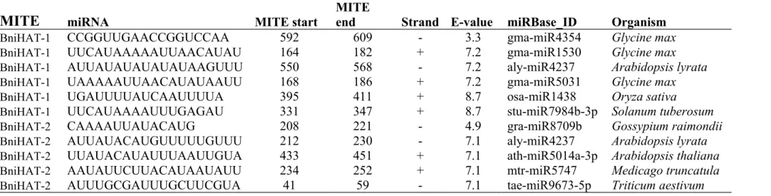 Table S5. Homologous micro-RNAs from two MITE families