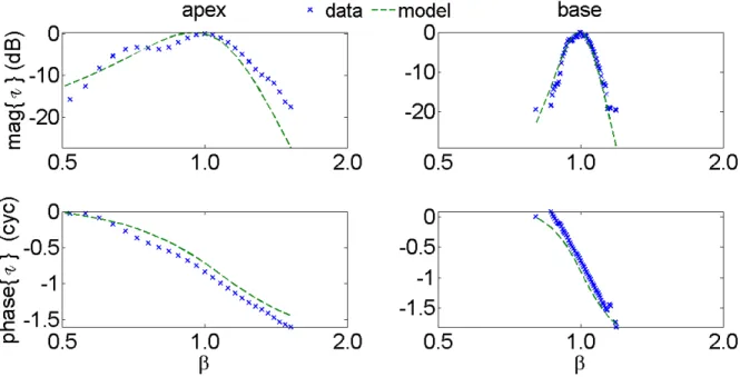 Figure 2.9: Model test using velocity expression II: The model (green dashed) expressions for velocity response is fit to measured data (blue crosses) from Wiener Kernels of chinchilla neural data from the apex (left) and base (right) in the region of the 
