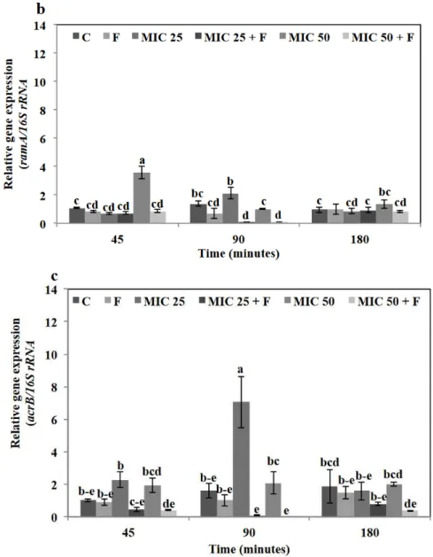 Figure 4. Effect of floridoside (F) on the expression of efflux-pumps related genes of S