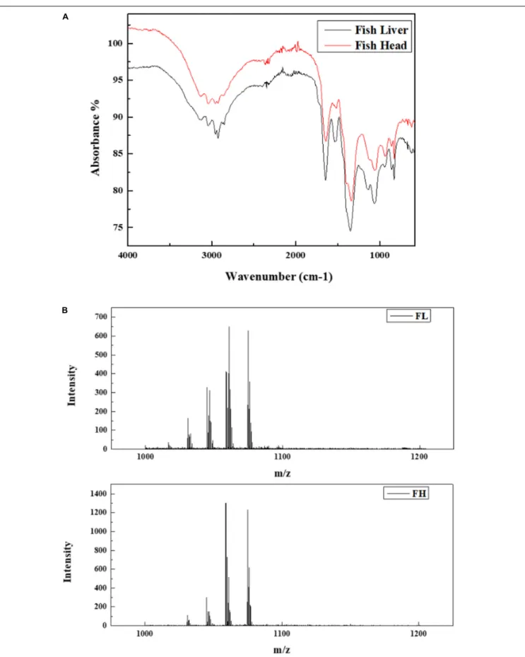 FIGURE 6 | Characterization of biosurfactants generated by Bacillus subtilis N3-1P using fish liver (FL) and fish head (FH) as minimum production medium