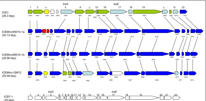 Figure 2 Comparison of the two ICEs found in (95010) with those in Mcc (California kid) and M