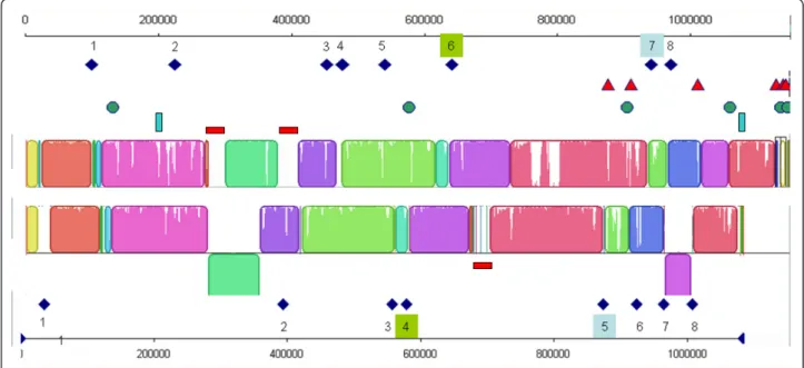 Figure 4 Comparison of Mmc 95010 and Mmc GM12 genome organisation in relation to mobile elements