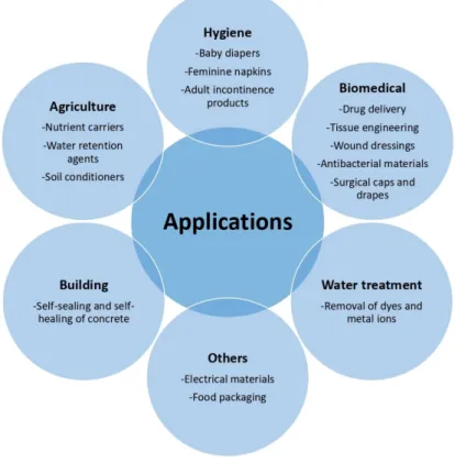 Figure 4. Potential and actual applications of polysaccharide-based superabsorbent. 