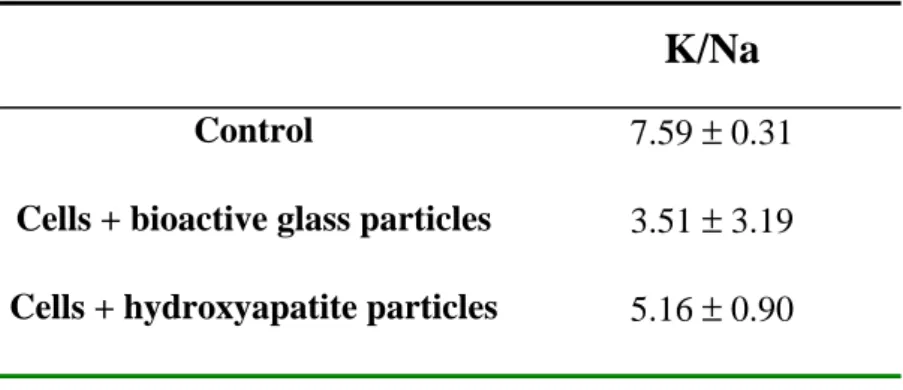 Table 1 : Mean value of the potassium:sodium ratio in control cells, in cells exposed to  bioactive glass particles and in cells exposed to hydroxyapatite particles