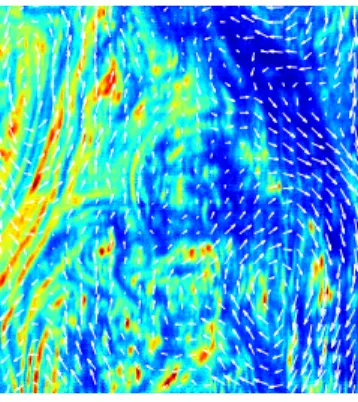 Figure 5: Real image sequence of a 2D turbulent flow of a soap film
