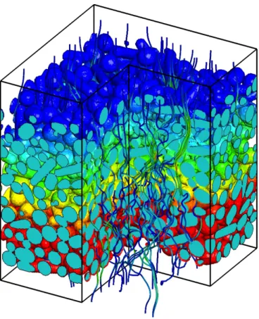 Figure 8: Flow through a sample of spherocylindrical particles of di↵erent length.