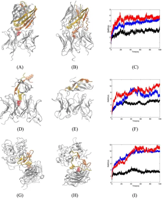 Fig 5. A) Top-ranked docked structure of Fv5E3 and the hexamer by Shafrir et al. Two K28 residues of the oligomer and the E102 residue of Fv5E3 are shown in solvent-exposed surface and stick representations in yellow, orange, and red, respectively