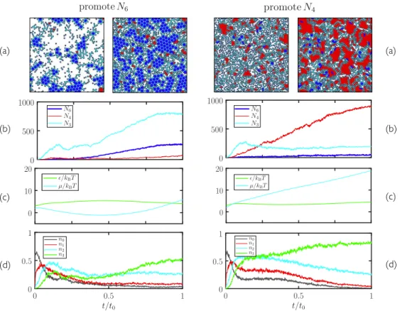 FIG. 11. Generation-10 trajectories of the microscopic network from Fig. 10, evolved to promote either 6-gons (left column) or 4-gons (right column)