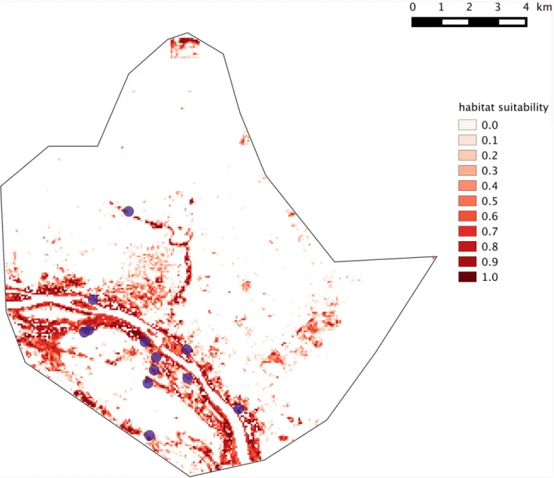 Fig 2. Suitability map of the Leptospira -carrying rodent species habitats of across the city of Niamey