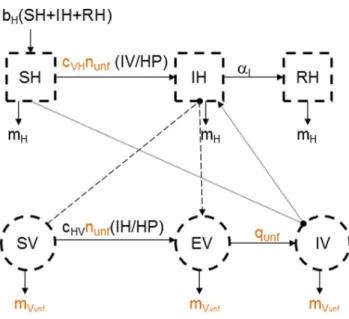 Figure 4. Conceptual model of the spread of a vector-borne pathogen during unfavourable period with a low continuous transmission