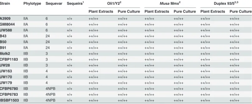 Table 5. Results of the proposed full detection protocol for detection of Ralstonia solanacearum in arti ﬁ cially contaminated plant extracts and identi ﬁ cation of isolated bacteria.