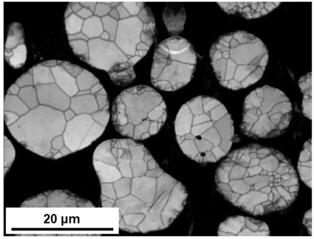 Figure S2. Image quality (IQ) map of as-received powders. 