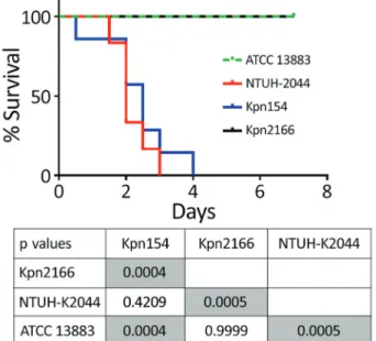 Figure 2. Kaplan–Meier survival curves of mice intraperitoneally  challenged with Klebsiella pneumoniae strains Kpn154 and  Kpn2166 from 2 patients in France, virulent strain NTUH-K2044,  and nonvirulent ATCC 13883 strain, as previously described  (10)