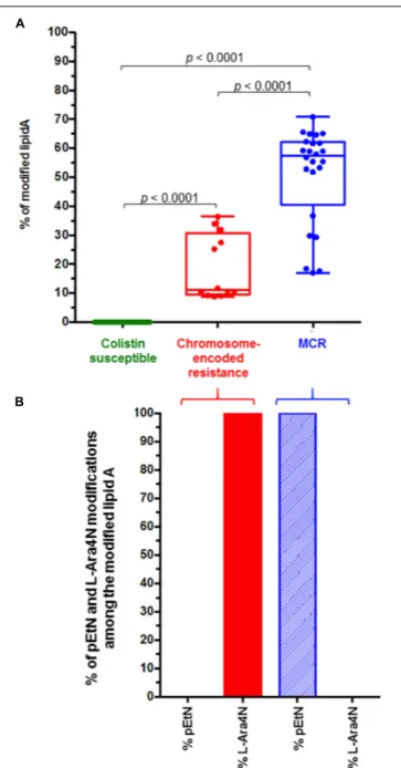 FIGURE 2 | (A) Representation of the percentage of the modified lipid A for colistin susceptible and colistin resistant S
