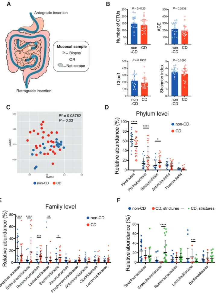 Figure 1. Unique microbiota structure in the small intestinal (SI) mucosa of Crohn’s disease (CD) patients