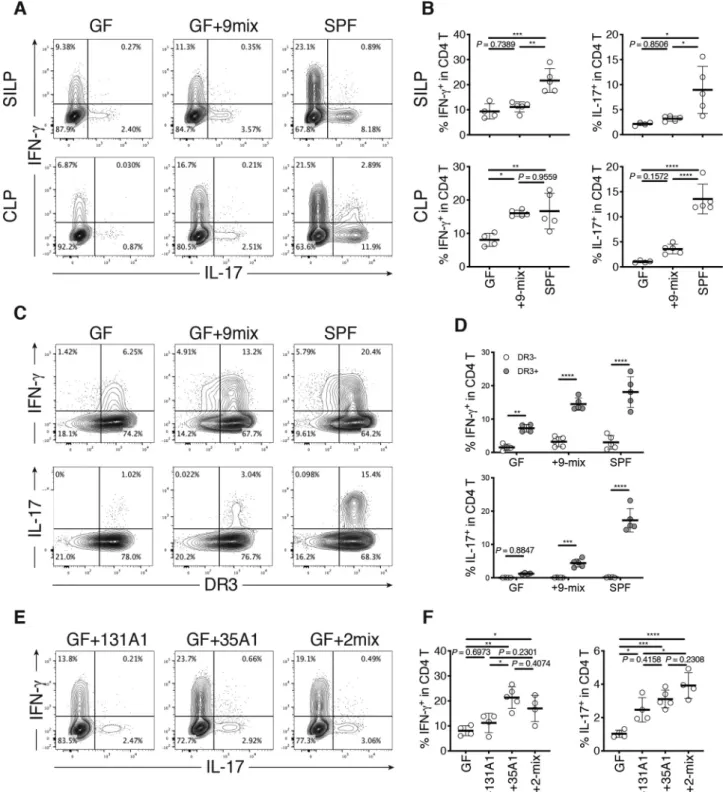 Figure  3.  Induction  of  intestinal  T H 1  cells  by  Crohn’s  disease  (CD)-associated  bacteria  and  the  E