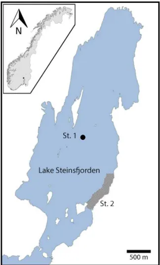 Figure 1. Map of Lake Steinsfjorden. In the south, the lake is connected through a narrow shallow passage with a low water exchange to the larger and deeper Lake Tyrifjorden