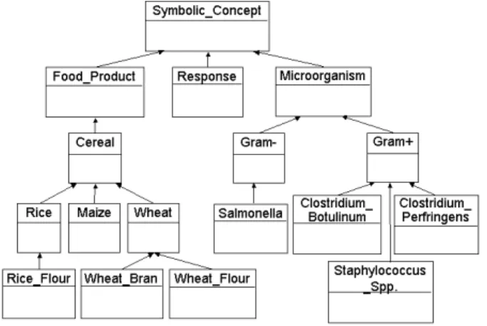 Fig. 4. Excerpt of OWL class hierarchy for symbolic concepts in the microbial domain