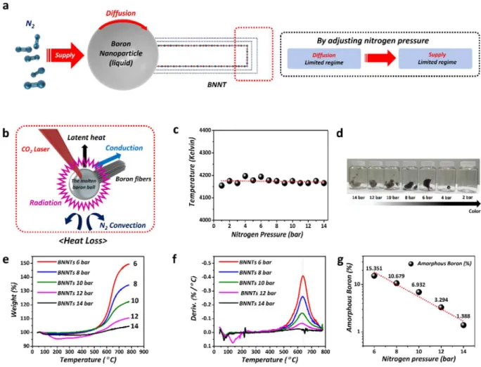 Figure 2d is a set of photographs of BNNTs synthesized under various pressures from 14 bar to 2 bar