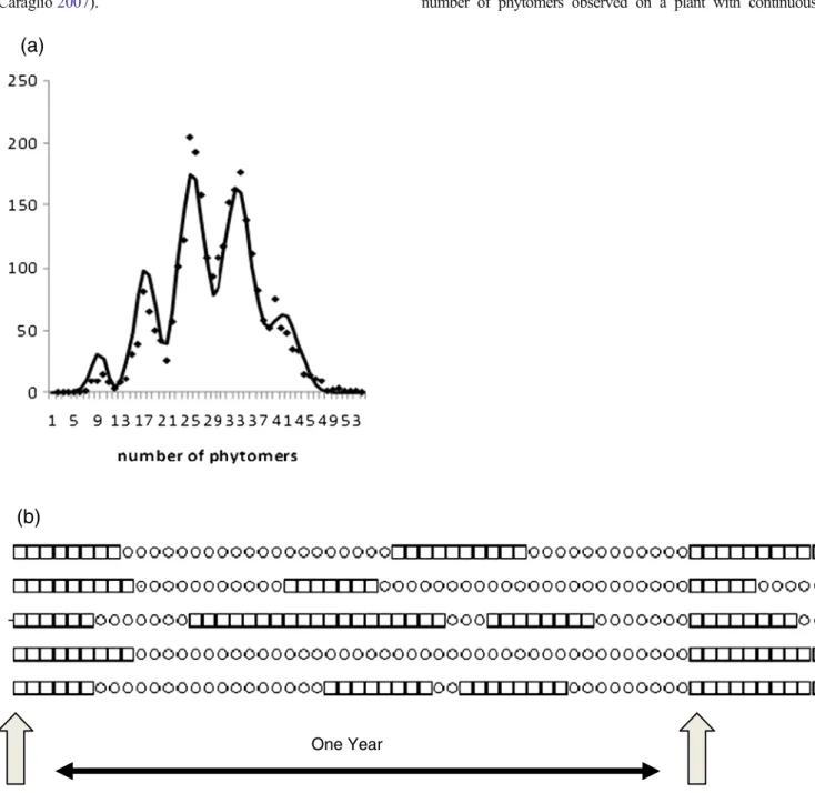 Figure 1 shows (left, Figure 1a) an example of distribution of number of phytomers observed on a plant with continuous