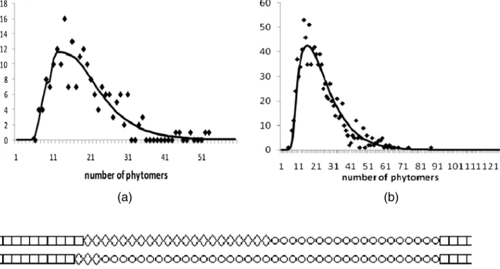 Figure 3a shows an example of distribution of number of GUs and phytomers for “seasonal” shoots with polyclism,