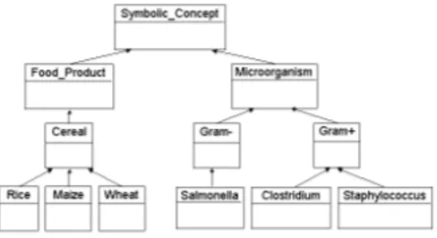 Fig. 2. Excerpt of OWL class hierarchy for symbolic concepts in the microbial domain